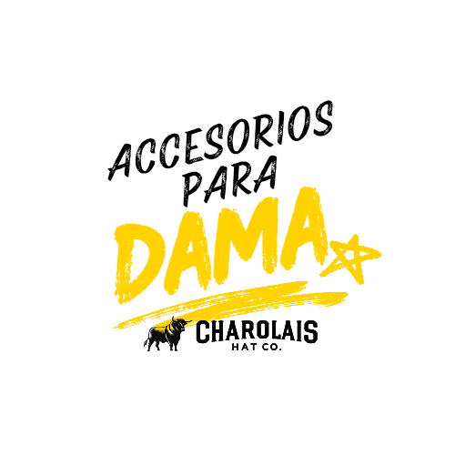 Accesorios Para Dama