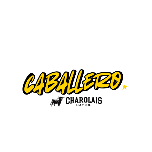Caballero
