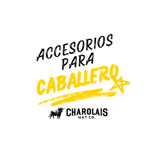 Accesorios Para Caballero