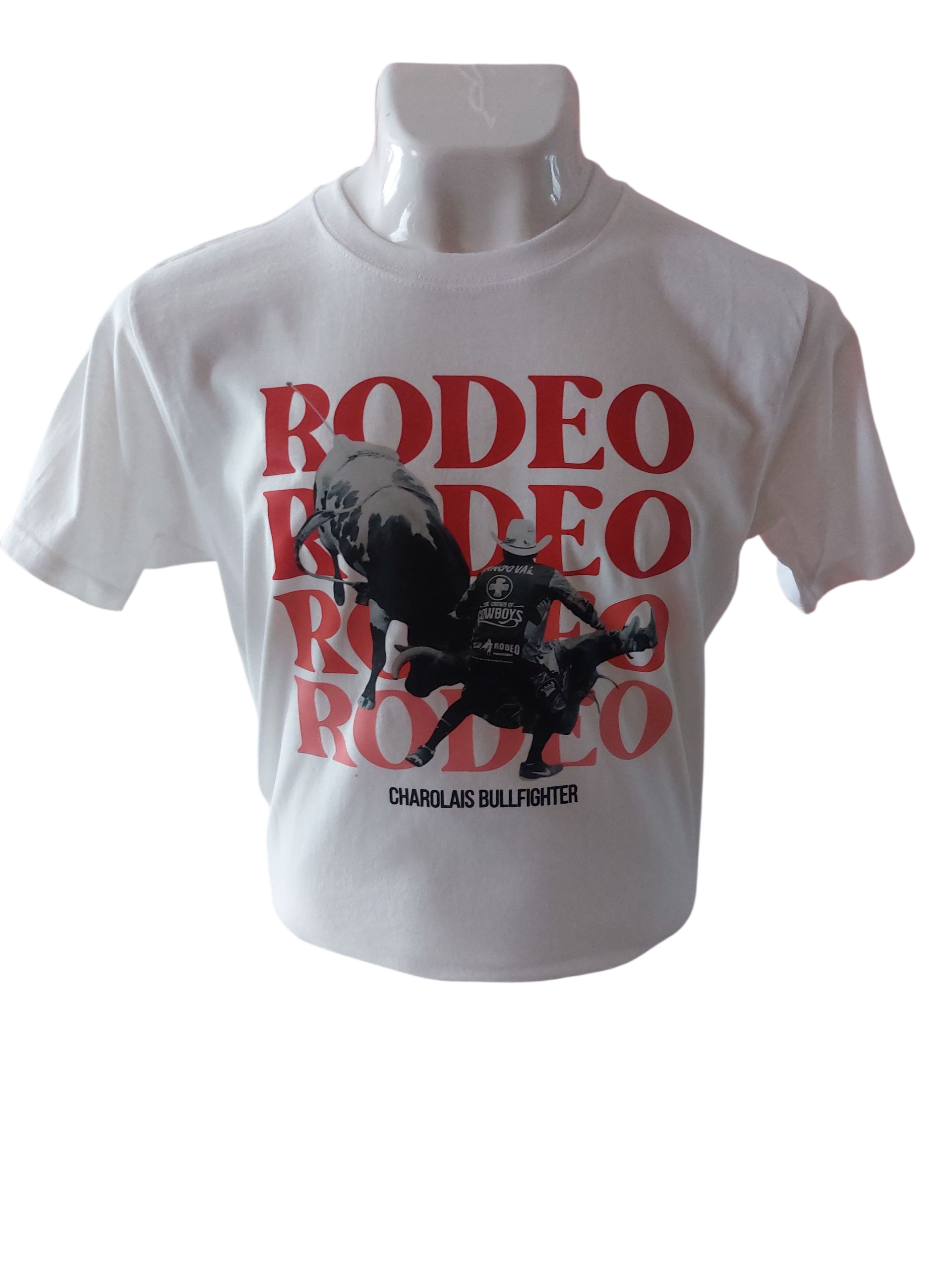 Bullfighter
