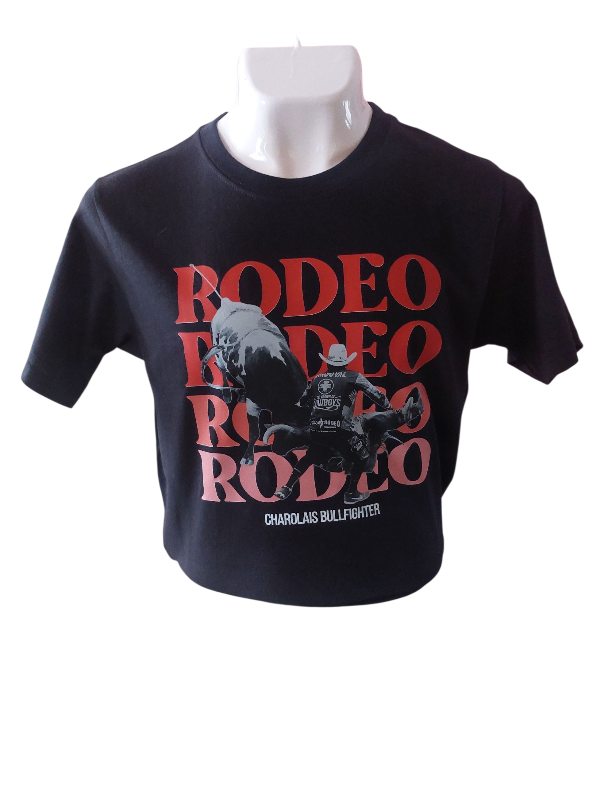 Bullfighter