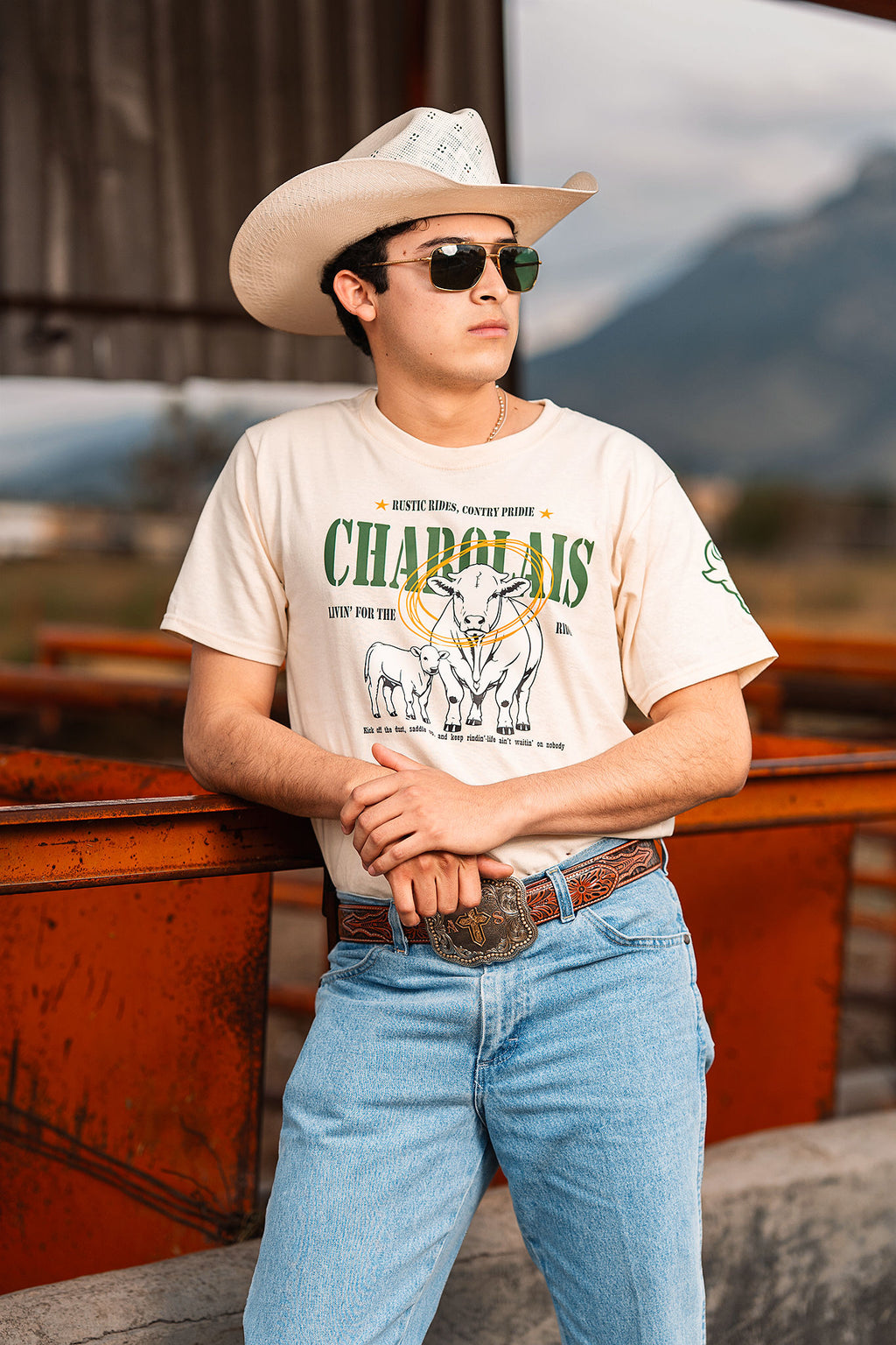 Charolais