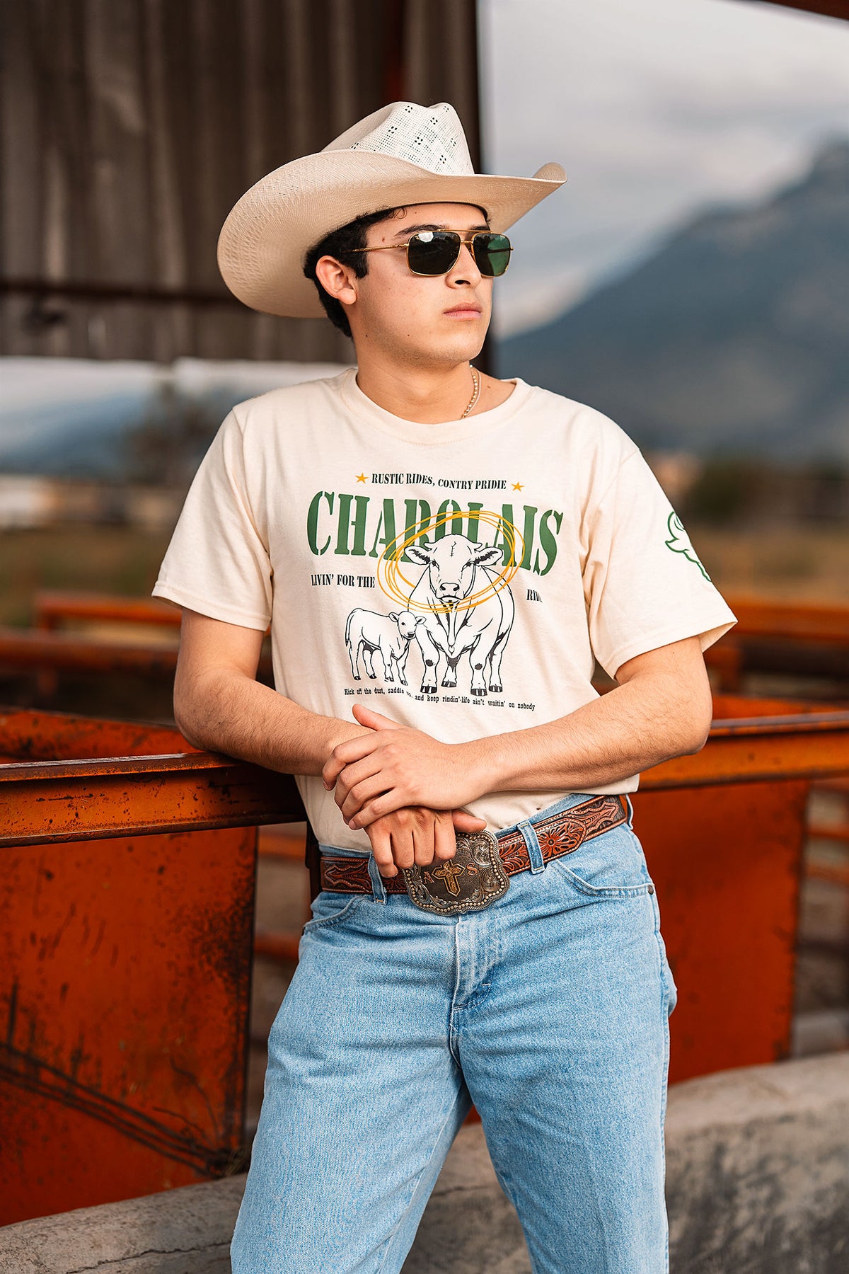 Charolais